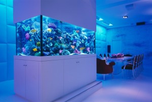 aquarium-740x498